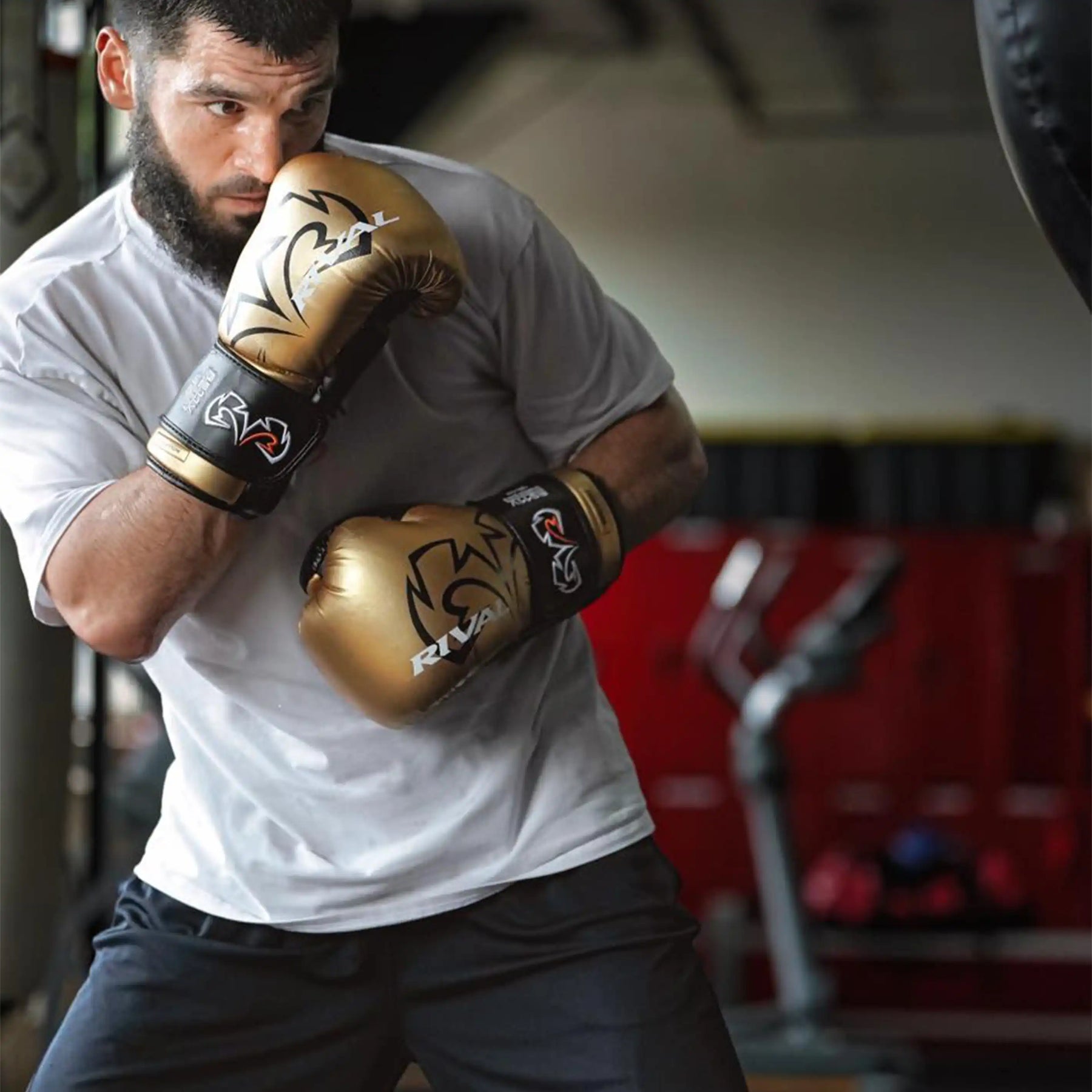 Gants de sparring Rival RS11V Evolution